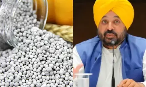 ਡੀਏਪੀ ਖਾਦ ਦੇ ਨਮੂਨੇ ਫੇਲ ਹੋਣ ਸਬੰਧੀ ਸੀਐਮ ਮਾਨ ਨੇ ਲਿਆ ਇਹ ਸਖਤ ਫੈਸਲਾ, ਜਾਣੋ ਖਬਰ