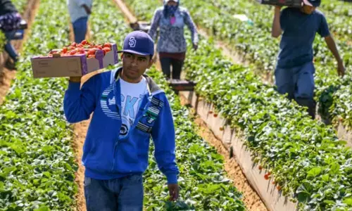 ਕੈਨੇਡਾ ਵਿਚ ਐਲ.ਐਮ.ਆਈ.ਏ. ਦੇ ਨਾਂ ’ਤੇ ਠੱਗੀਆਂ ਹੋਣਗੀਆਂ ਬੰਦ