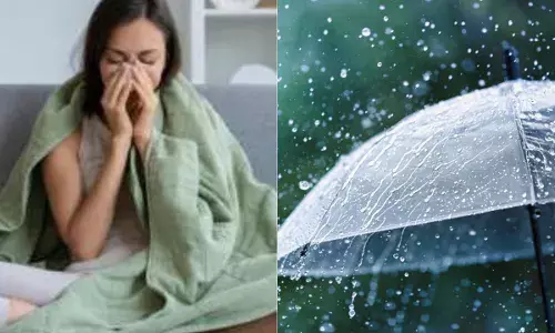 ਮੌਨਸੂਨ ਦੌਰਾਨ ਸਾਹ ਦੀਆਂ ਬਿਮਾਰੀਆਂ ਤੋਂ ਇੰਝ ਕੀਤਾ ਜਾ ਸਕਦਾ ਹੈ ਬਚਾਅ !