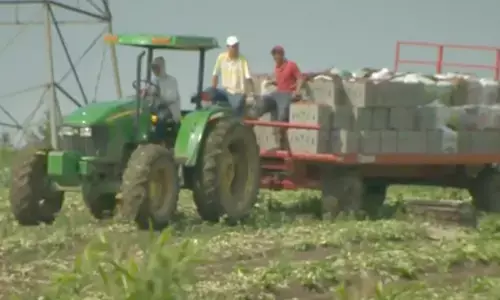 ਸੈਂਕੜੇ ਪੰਜਾਬੀਆਂ ਨੂੰ ਗੁਲਾਮ ਬਣਾ ਰਿਹੈ ਕੈਨੇਡਾ