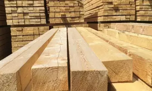 ਅਮਰੀਕਾ ਨੇ ਕੈਨੇਡੀਅਨ ਲੱਕੜ ’ਤੇ ਟੈਕਸ ਵਧਾ ਕੇ ਦੁੱਗਣਾ ਕੀਤਾ