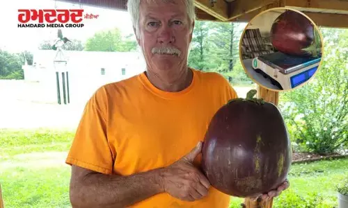 ਇਸ ਸਬਜ਼ੀ ਨੇ ਬਣਾਤਾ ਦੁਨੀਆ ਦਾ ਅਨੋਖਾ ਰਿਕਾਰਡ