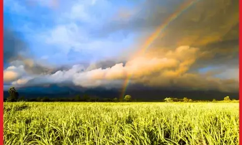 ਪੰਜਾਬ ਚ ਸਤੰਬਰ ਮਹੀਨੇ ਵਿਚ ਚੰਗੀ ਬਾਰਸ਼ ਹੋਵੇਗੀ