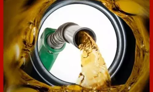 ਪੰਜਾਬ ਚ ਪੈਟਰੋਲ ਤੇ ਡੀਜ਼ਲ ਹੋਇਆ ਮਹਿੰਗਾ, ਬਿਜਲੀ ਸਬਸਿਡੀ ਵਾਪਸ ਲਈ