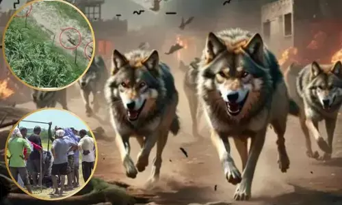 ਸਾਵਧਾਨ, ਪਿੰਡਾਂ ’ਚ ਆ ਗਏ ਆਦਮਖ਼ੋਰ ਭੇੜੀਏ!