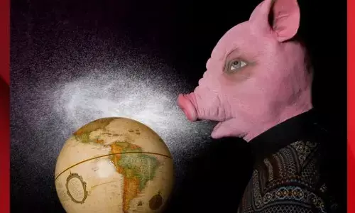 ਇਸ ਸੂਬੇ ਵਿਚ ਤੇਜ਼ੀ ਨਾਲ ਫੈਲ ਰਿਹੈ ਸਵਾਈਨ ਫਲੂ, 17 ਮੌਤਾਂ