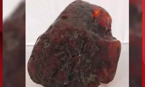 1 ਮਿਲੀਅਨ ਡਾਲਰ ਦਾ ਕੀਮਤੀ ਪੱਥਰ ਘਰ ਚ ਰੁਲਦਾ ਰਿਹਾ, ਜਦੋਂ ਪਤਾ ਲੱਗਾ...