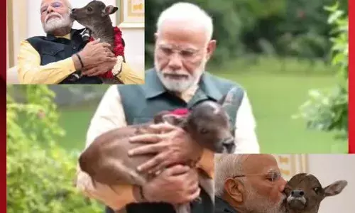 PM ਮੋਦੀ ਦੀ ਰਿਹਾਇਸ਼ ਤੇ ਆਇਆ ਨੰਨ੍ਹਾ ਮਹਿਮਾਨ, ਦੇਖੋ ਵੀਡੀਓ