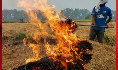 ਪਰਾਲੀ ਸਾੜਨ ਨੂੰ ਰੋਕਣ ਲਈ ਸੁਪਰੀਮ ਕੋਰਟ ਨੇ ਕਮਿਸ਼ਨ ਨੂੰ ਲਗਾਈ ਫਟਕਾਰ
