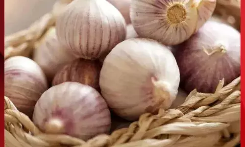 ਪਾਬੰਦੀ ਦੇ ਬਾਵਜ਼ੂਦ ਚੀਨੀ ਲਸਣ ਵੇਖ ਕੇ ਅਦਾਲਤ ਨੂੰ ਆਇਆ ਗੁੱਸਾ