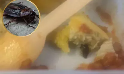 ਏਅਰ ਇੰਡੀਆ ਯਾਤਰੀ ਦੇ ਖਾਣੇ ’ਚੋਂ ਨਿਕਲਿਆ ਕਾਕਰੋਚ