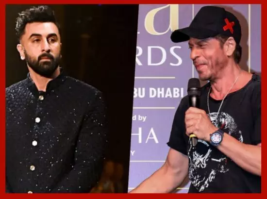 IIFA 2024 : ਰਣਬੀਰ ਦੀ ਐਨੀਮਲ ਨੇ ਜਿੱਤੇ 6 ਐਵਾਰਡ, ਸ਼ਾਹਰੁਖ ਨੂੰ ਮਿਲਿਆ ਬੈਸਟ ਐਕਟਰ ਦਾ ਖਿਤਾਬ