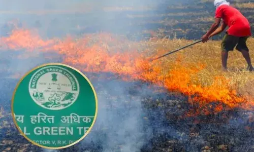 ਪਰਾਲੀ ਸਾੜਨ ਵਾਲਿਆਂ ਦੀ ਹੁਣ ਖੈਰ ਨਹੀਂ!, ਕੇਂਦਰ ਨੇ ਖੁਦ ਸੰਭਾਲੀ ਕਮਾਨ