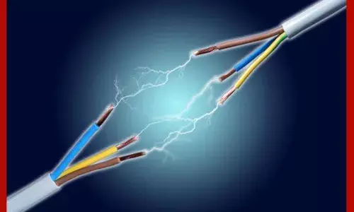 ਪੰਜਾਬ ਨੂੰ ਬਿਜਲੀ ਚੋਰੀ ਕਾਰਨ 2600 ਕਰੋੜ ਰੁਪਏ ਦਾ ਸਾਲਾਨਾ ਨੁਕਸਾਨ ਹੋ ਰਿਹਾ ਹੈ