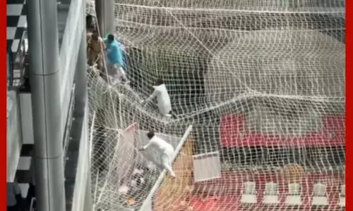 ਮਹਾਰਾਸ਼ਟਰ ਦੇ ਡਿਪਟੀ ਸਪੀਕਰ ਨੇ ਤੀਸਰੀ ਮੰਜ਼ਿਲ ਤੋਂ ਮਾਰੀ ਛਾਲ (Video)