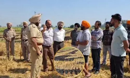 ਕਿਸਾਨ ਨੇ ਖੇਤ ਚ ਪਰਾਲੀ ਨੂੰ ਲਗਾਈ ਅੱਗ, ਮੌਕੇ ਤੇ ਪਹੁੰਚਿਆ ਪ੍ਰਸ਼ਾਸਨ