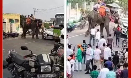 ਦੁਸਹਿਰਾ ਮੇਲੇ ਚ ਹਾਥੀ ਕਾਬੂ ਤੋਂ ਬਾਹਰ, ਨੌਜਵਾਨ ਨੂੰ ਮਾਰਿਆ