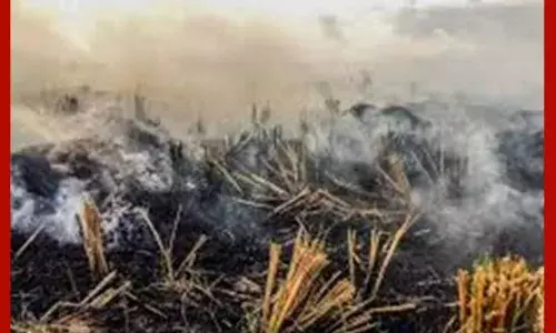 ਪੰਜਾਬ ਚ ਮੌਸਮ ਰਹੇਗਾ ਸਾਫ: ਹਵਾ ਪ੍ਰਦੂਸ਼ਣ ਵਧਣ ਲੱਗਾ