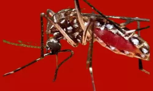 ਪੰਜਾਬ ਚ ਡੇਂਗੂ ਦੇ ਇਕ ਦਿਨ ਚ 70 ਨਵੇਂ ਮਾਮਲੇ