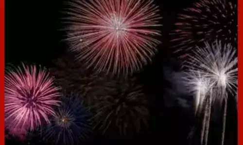 ਮੋਹਾਲੀ ਵਿੱਚ ਪਟਾਖਿਆਂ ਦੀ ਵਿਕਰੀ ਲਈ 44 ਲਾਇਸੈਂਸ ਜਾਰੀ