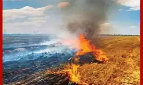 ਪਟਿਆਲਾ ਚ ਪਰਾਲੀ ਸਾੜਨ ਤੇ 8 ਖਿਲਾਫ ਮਾਮਲਾ ਦਰਜ