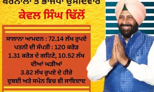 ਜ਼ਿਮਨੀ ਚੋਣ :  ਆਹ ਉਮੀਦਵਾਰ ਸਭ ਤੋਂ ਅਮੀਰ, ਰਾਜਿਆਂ ਵਾਲੇ ਰੱਖੇ ਸ਼ੌਕ