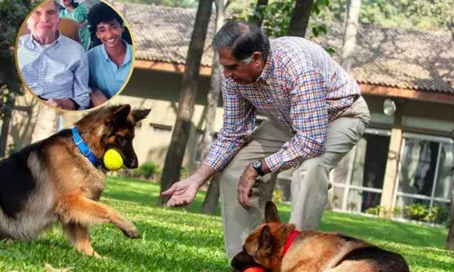 ਰਤਨ ਟਾਟਾ ਨੇ ਕੁੱਤੇ ਦੇ ਨਾਂ ਕੀਤੀ ਕਰੋੜਾਂ ਦੀ ਜਾਇਦਾਦ