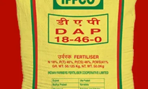 ਪੰਜਾਬ : DAP ਖ਼ਾਦ ਦੀ ਕਾਲਾਬਾਜ਼ਾਰੀ ਕਰਨ ਵਾਲਿਆਂ ਖ਼ਿਲਾਫ਼ ਕਾਰਵਾਈ ਦੀ ਤਿਆਰੀ