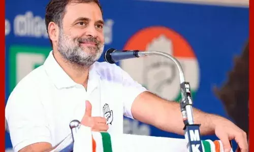 ਮਹਾਰਾਸ਼ਟਰ ਵਿਧਾਨ ਸਭਾ ਚੋਣਾਂ : ਕਾਂਗਰਸ ਨੇ ਆਪਣਾ ਉਮੀਦਵਾਰ ਵਾਪਸ ਲਿਆ, ਸਥਿਤੀ ਬਣੀ ਦਿਲਚਸਪ