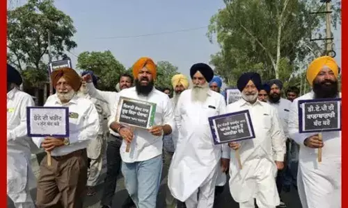 ਅਕਾਲੀ ਦਲ ਨੇ ਝੋਨੇ ਦੀ ਖ਼ਰੀਦ-ਡੀਏਪੀ ਦੀ ਕਮੀ ਨੂੰ ਲੈ ਕੇ ਕੀਤਾ ਰੋਸ ਮੁਜ਼ਾਹਰਾ