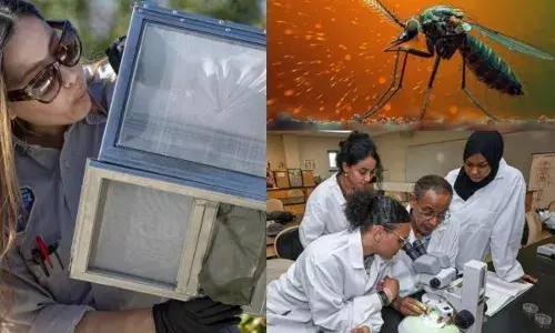 ਅਨੋਖਾ ਤਰੀਕਾ : ਵਿਗਿਆਨੀਆਂ ਨੇ ਮੱਛਰ ਕੀਤੇ ‘ਕੰਨਾਂ ਤੋਂ ਬੋਲ਼ੇ’