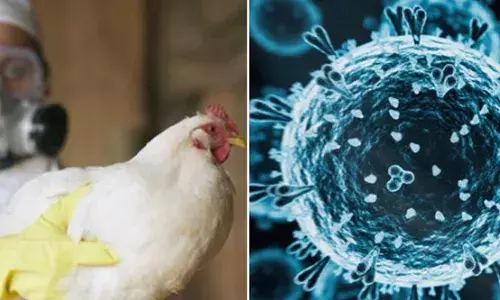 ਕੈਨੇਡਾ ਵਿਚ ਬਰਡ ਫਲੂ ਦੇ ਪਹਿਲੇ ਮਰੀਜ਼ ਦੀ ਹਾਲਤ ਨਾਜ਼ੁਕ