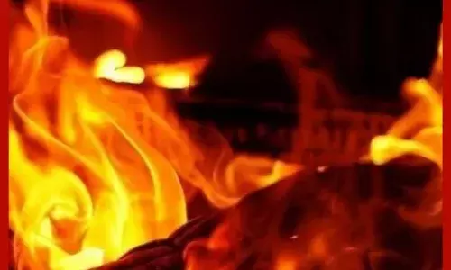 ਅਮਰੀਕਨ ਏਅਰਲਾਈਨਜ਼ ਦੇ ਜਹਾਜ਼ ਨੂੰ ਲੱਗੀ ਅੱਗ, ਜਹਾਜ਼ ਵਿੱਚ 178 ਲੋਕ ਸਵਾਰ (Video