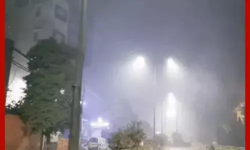 ਪੰਜਾਬ ਦੇ 14 ਜ਼ਿਲ੍ਹਿਆਂ ਵਿੱਚ ਧੁੰਦ ਦਾ ਅਲਰਟ