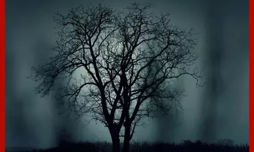 ਇਨ੍ਹਾਂ ਸੂਬਿਆਂ ਵਿਚ ਸਖ਼ਤ ਠੰਢ ਅਤੇ ਧੁੰਦ ਦਾ ਅਲਰਟ ਜਾਰੀ