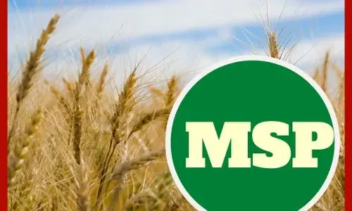 ਕਿਸਾਨਾਂ ਲਈ ਘੱਟੋ-ਘੱਟ ਸਮਰਥਨ ਮੁੱਲ ਦੀ ਕਾਨੂੰਨੀ ਗਾਰੰਟੀ ਜ਼ਰੂਰੀ; ਸੁਪਰੀਮ ਕੋਰਟ ਦੇ ਪੈਨਲ ਦੀਆਂ ਮੁੱਖ ਸਿਫ਼ਾਰਸ਼ਾਂ