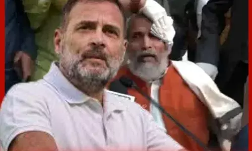 ਭਾਜਪਾ ਸੰਸਦ ਮੈਂਬਰ ਦਾ ਰਾਹੁਲ ਗਾਂਧੀ ਤੇ ਨਵਾਂ ਦੋਸ਼