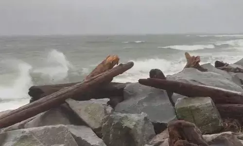 ਬੀ.ਸੀ. ਵਿਚ ਤੂਫਾਨ ਅਤੇ ਭਾਰੀ ਮੀਂਹ, ਹਜ਼ਾਰ ਘਰਾਂ ਦੀ ਬਿਜਲ ਗੁੱਲ