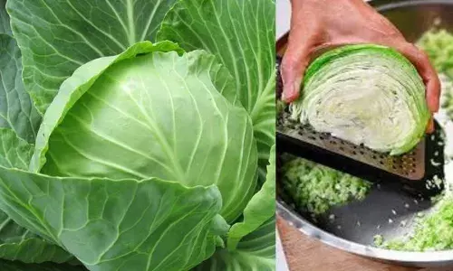 ਹੁਣ ਪੱਤਾਗੋਭੀ ਖਾਣ ਨਾਲ ਦਿਮਾਗ ‘ਚ ਦਾਖਲ ਨਹੀਂ ਹੋਣਗੇ ਕੀੜੇ!