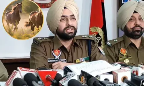 ਘੋੜੀ ਰੱਖਣ ਦੇ ਸ਼ੌਂਕੀ ਮੁੰਡੇ ਨੇ ਘੋੜੀ ਖਰੀਦਣ ਲਈ ਲੁੱਟਿਆ ਬੈਂਕ