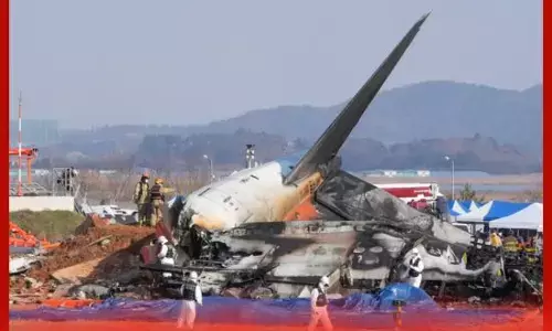 ਜਹਾਜ਼ ਅਤੇ ਪੰਛੀ ਦੀ ਟੱਕਰ, ਅਸਮਾਨ ਵਿੱਚ ਲੱਗੀ ਅੱਗ (ਵੀਡੀਓ)