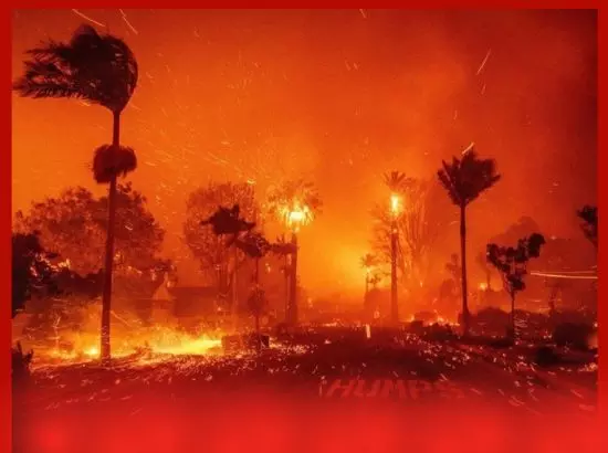 ਲਾਸ ਏਂਜਲਸ ਚ ਜੰਗਲਾਂ ਵਿੱਚ ਭਿਆਨਕ ਅੱਗ, ਸੈਂਕੜੇ ਘਰ ਸੁਆਹ