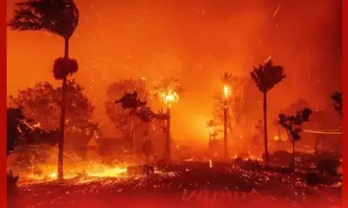 ਲਾਸ ਏਂਜਲਸ ਚ ਜੰਗਲਾਂ ਵਿੱਚ ਭਿਆਨਕ ਅੱਗ, ਸੈਂਕੜੇ ਘਰ ਸੁਆਹ