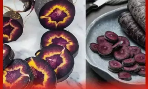 ਕਾਲੀ ਗਾਜਰ ਦਾ ਹਲਵਾ ਲਾਲ ਗਾਜਰ ਨਾਲੋਂ 10 ਗੁਣਾ ਜ਼ਿਆਦਾ ਫਾਇਦੇਮੰਦ