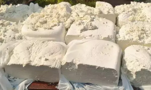 ਅਧਿਕਾਰੀਆਂ ਨੇ 5000 ਕਿੱਲੋ ਨਕਲੀ ਪਨੀਰ ਕੀਤਾ ਜ਼ਬਤ