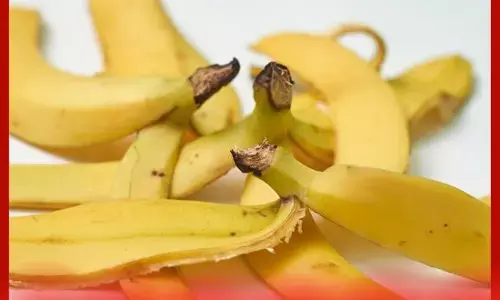ਕੇਲੇ ਦੇ ਛਿਲਕਿਆਂ ਦੇ ਫਾਇਦੇ ਵੀ ਵੇਖੋ