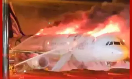 ਦੱਖਣੀ ਕੋਰੀਆ ਦੇ ਹਵਾਈ ਅੱਡੇ ਤੇ ਜਹਾਜ਼ ਨੂੰ ਲੱਗੀ ਅੱਗ