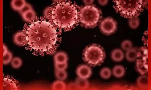 ਪਾਕਿਸਤਾਨ ਵਿਚ ਨਵੀ ਵਬਾ ਨੇ ਲਈ ਕਈਆਂ ਦੀ ਜਾਨ