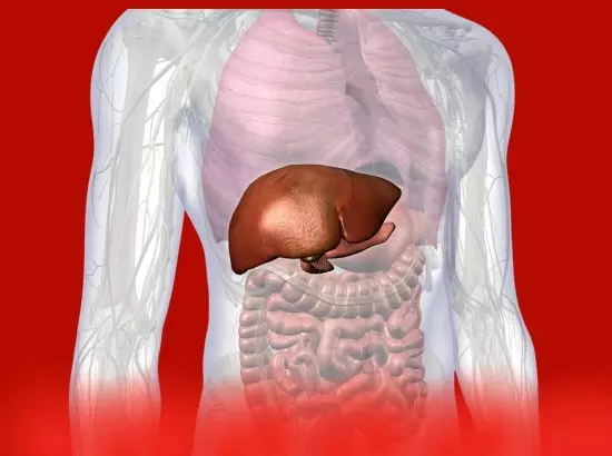 ਆਪਣੇ ਜਿਗਰ ਦਾ ਰੱਖੋ ਧਿਆਨ, ਇਹ ਕੰਮ ਜ਼ਰੂਰ ਕਰੋ