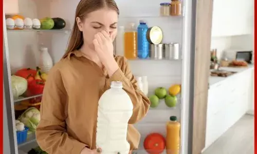 ਕੀ ਦੁੱਧ ਨੂੰ ਫਰਿੱਜ ਵਿੱਚ ਰੱਖਣਾ ਸਹੀ ਹੈ ?